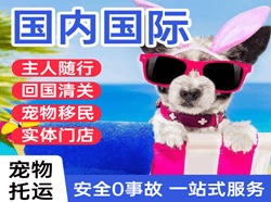蓬莱航空货运国际宠物托运 【国
